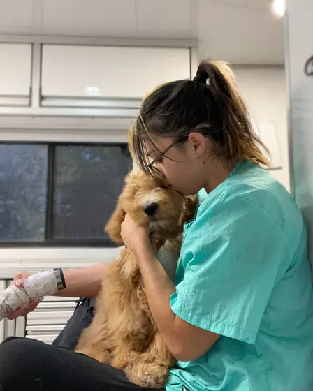 A Dirty Paws groomer holding a small dog gently inside the mobile grooming salon.