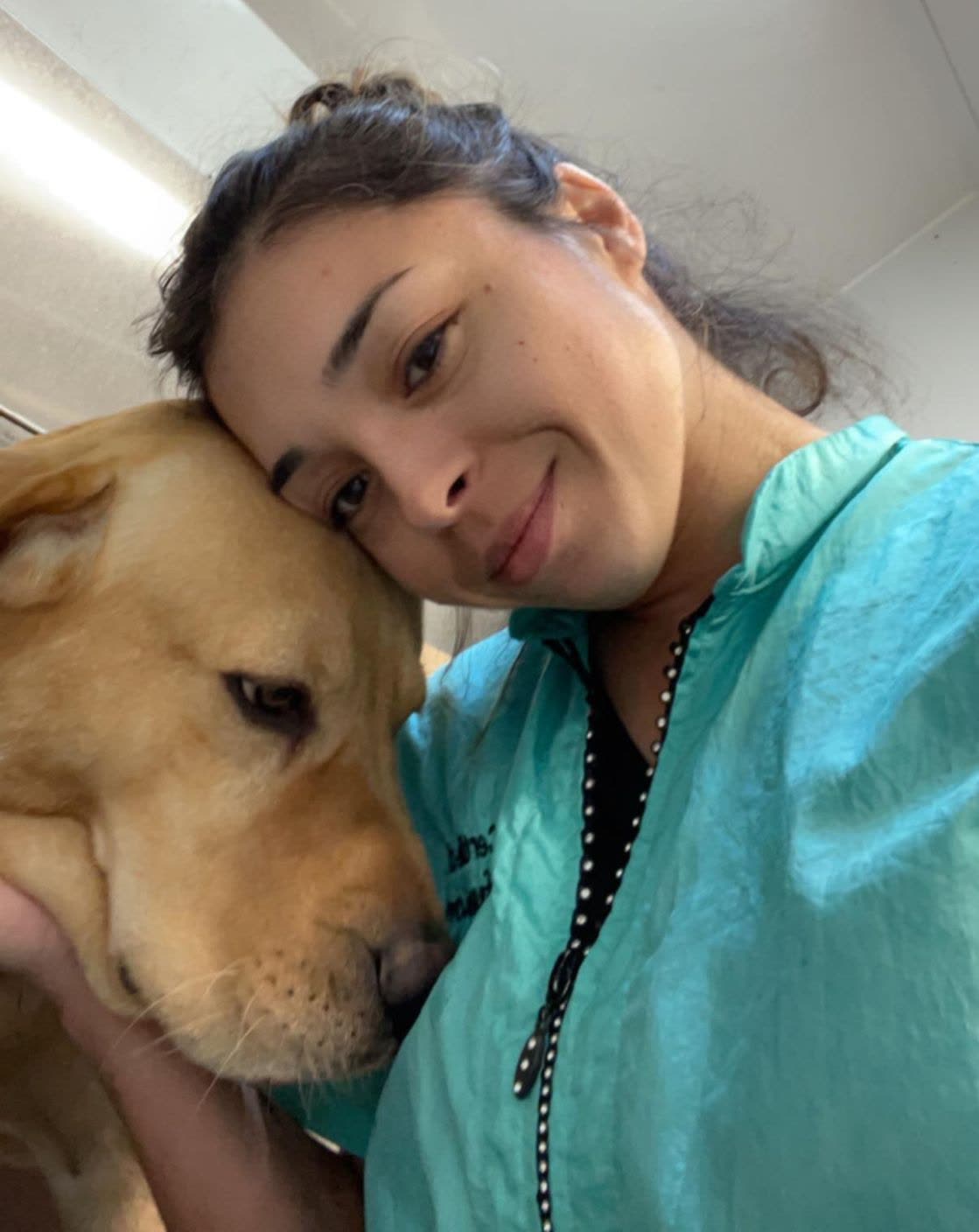 A Dirty Paws groomer resting against a yellow Labrador during a grooming appointment.