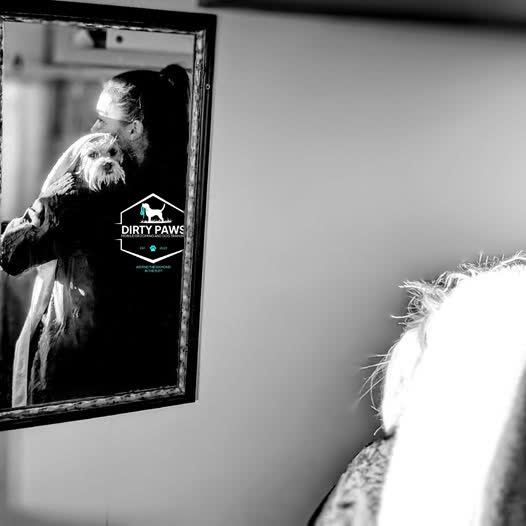 Black and white photograph of the Dirty Paws hexagonal paw logo on the grooming unit's mirror, with a groomer and terrier reflected in it.